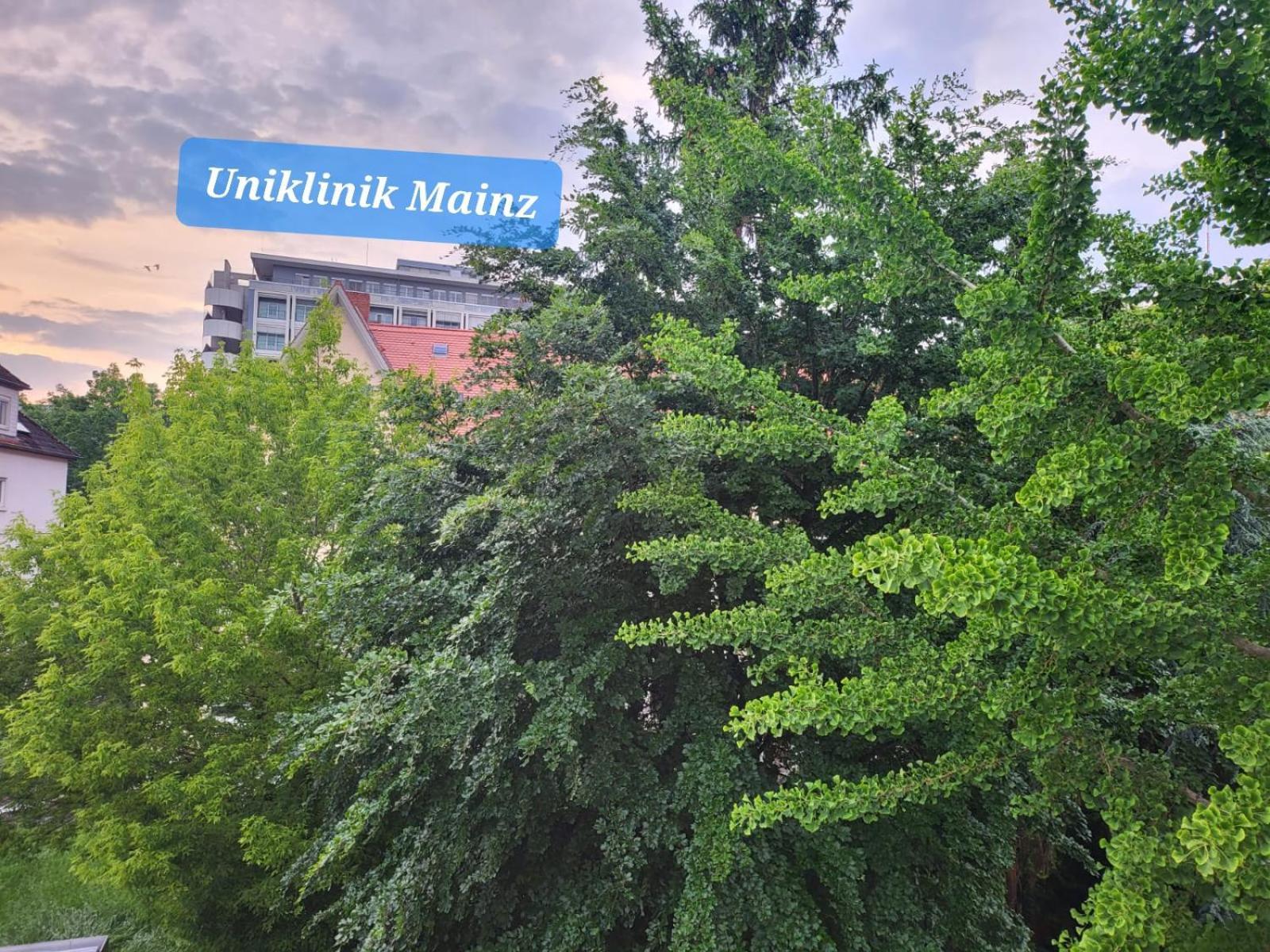 Gemuetliches An Der Uniklinik Mainz. Sehr Zentral *